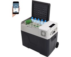 DailyDamaar koelbox - Koelkast - Koeltas - Ijskast - Draagbare koelkast - Koelbox auto - 30L - 63x38x38 cm - Grijs
