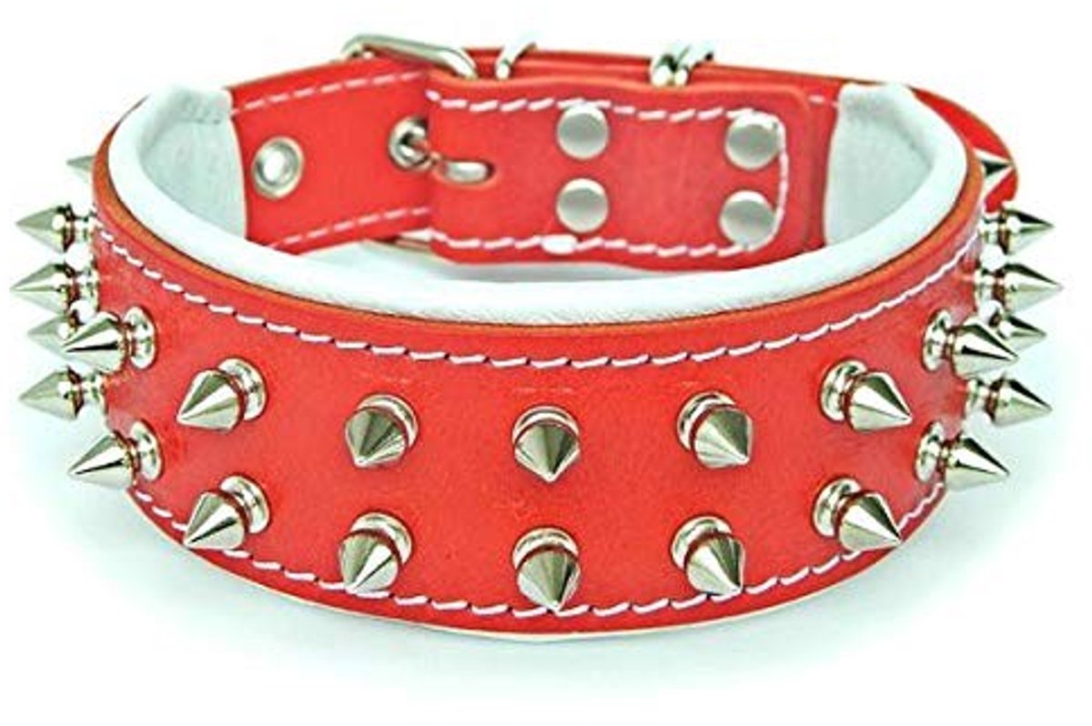Solidchoice - Leren Hondenhalsband met Witte Kussens