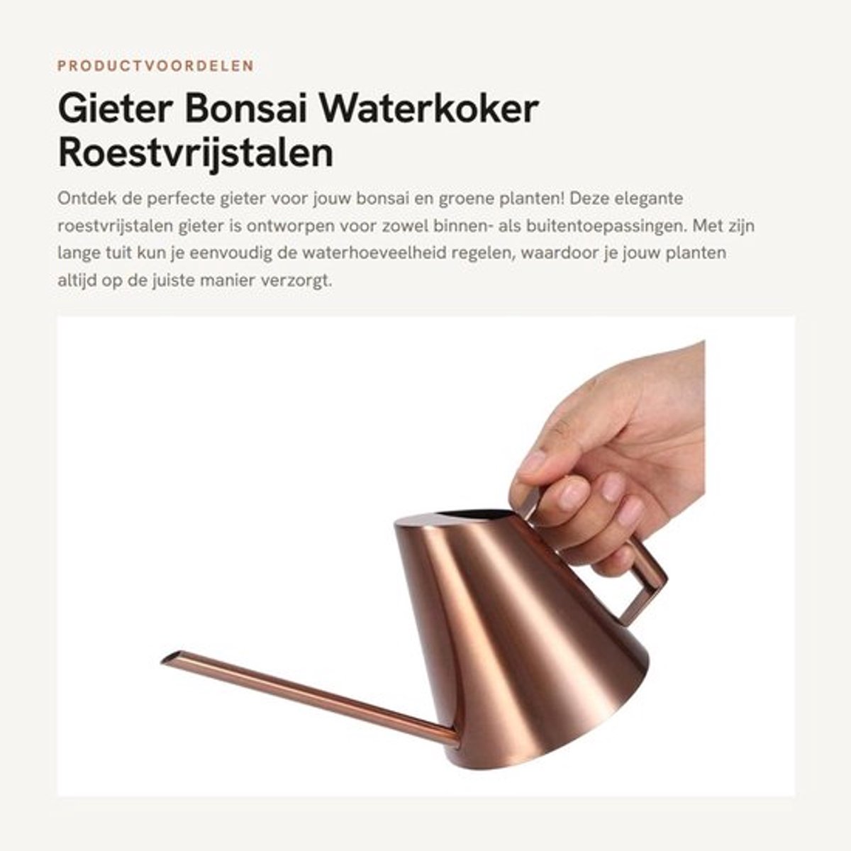 Gieter 400ml - Roestvrij Staal - Lang Mondstuk - Ergonomisch Handvat - Duurzaam - Voor Binnen Planten - Waterkan