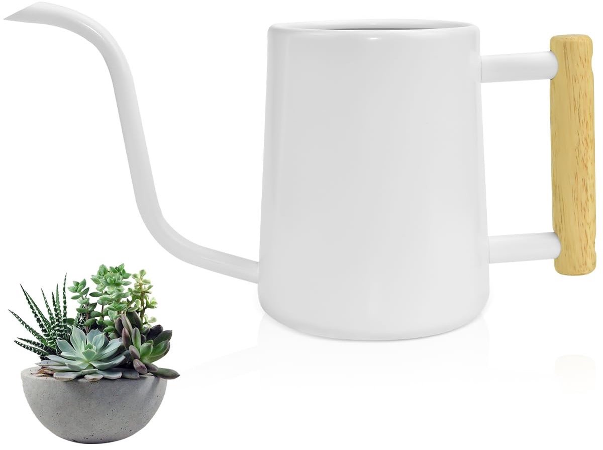 Solidchoice - Indoor Watering Can - 1 L Gietertje voor Binnenplanten