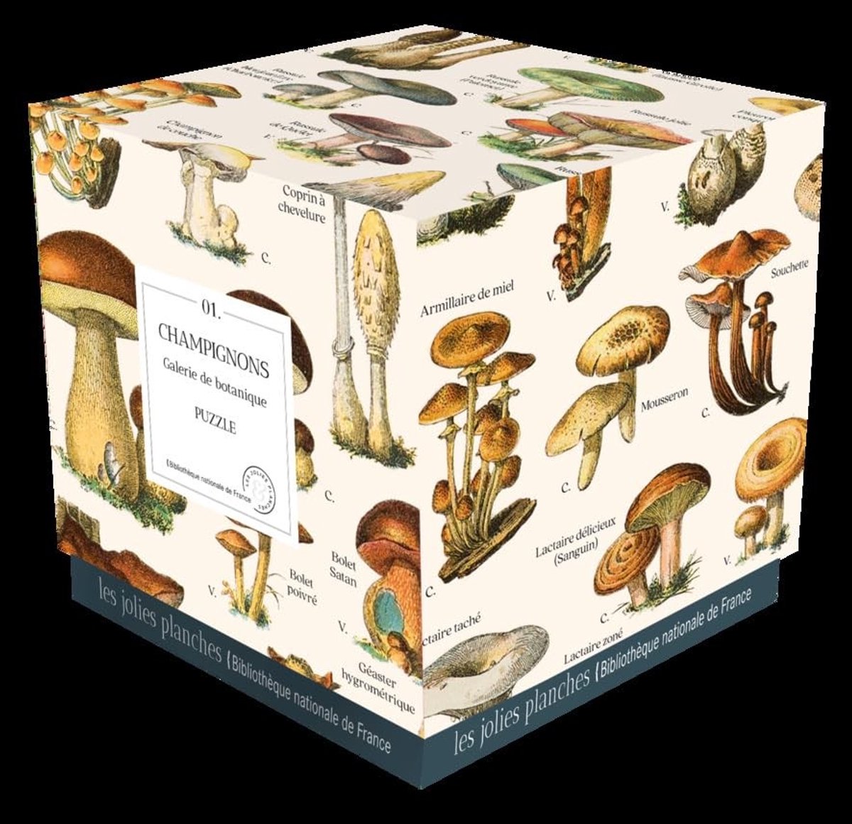 Solidchoice - Puzzel Paddestoelen 1000 Stukken voor Volwassenen