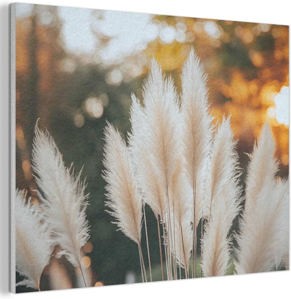 "MuchoWow© Vilten Wandpaneel 70x50 cm Kamer Muurdecoratie Woonkamer Slaapkamer Room Decor Wall Decoration Felt Art Panel Pampasgras - Pluimen - Sierlijk"