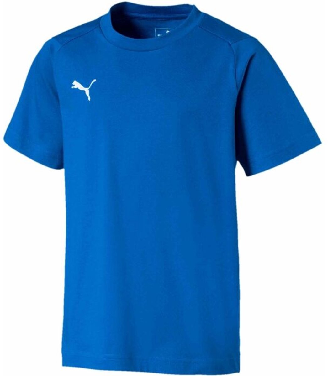 Puma Team Goal kinder T-shirt Blauw