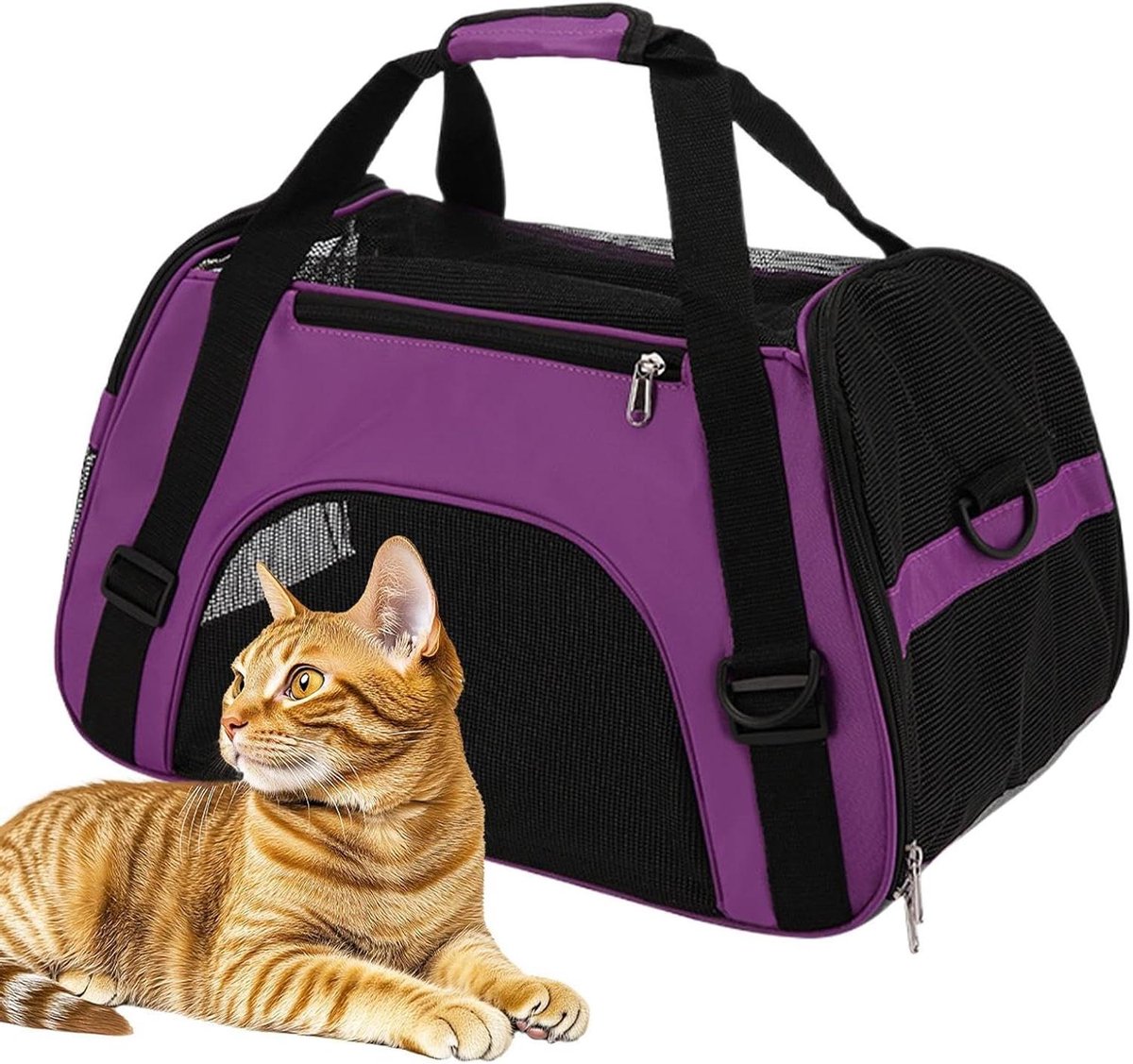 Hondentas Puppy - Draagbox Reismand - Comfortabel Reizen - Verbeterde Luchtstroom - 53x36x26cm - Paars