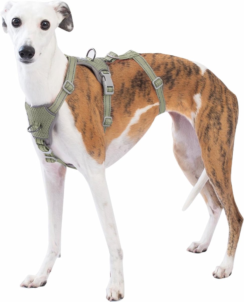 Middelgrote Ontsnappingsvrije Hondentuig, Anti-trek Reflecterend Harnas, Veilig 5-punts Vest voor Kleine Dieren, Verstelbaar, voor Grote Honden Buiten Training, Wandelen (Legergroen,L)