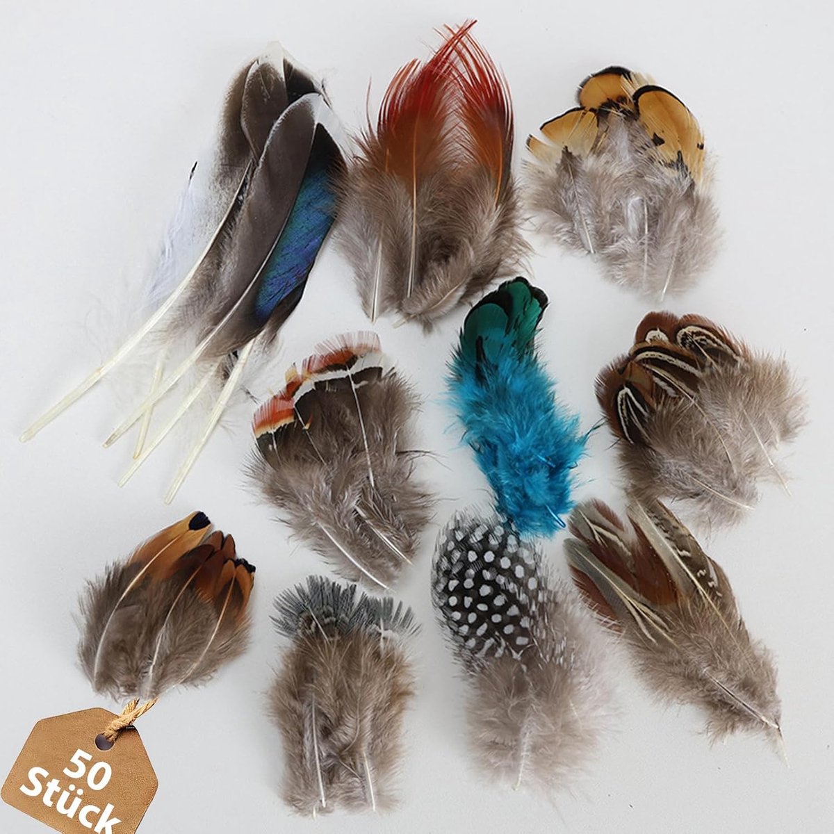 Veren om te knutselen, knutselveren-decoraties, decoratieve veren, veren, grote veren voor dromenvangers, knutselveren, fazanenveren om te knutselen, doe-het-zelf sieraden