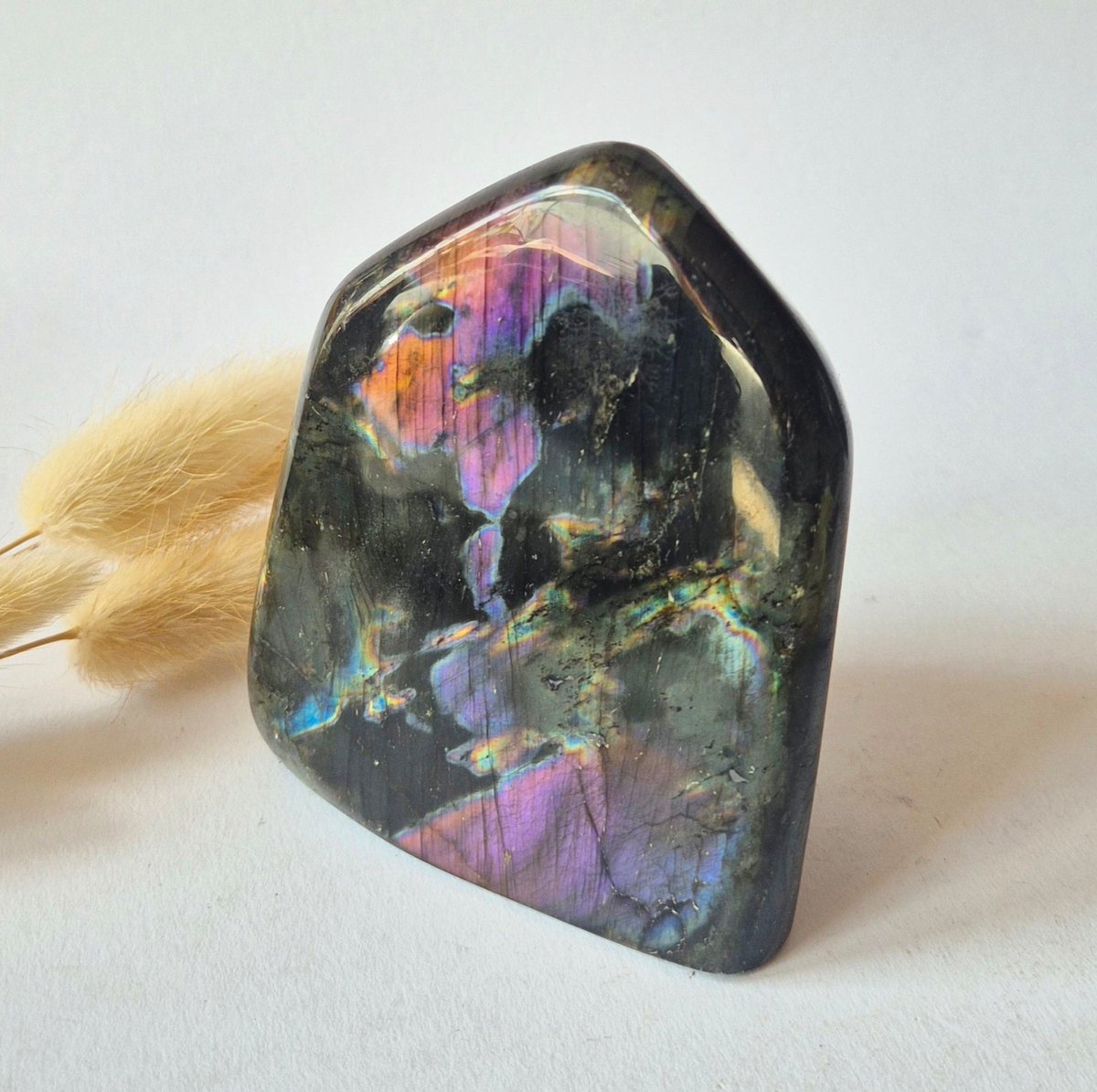 Premium Rainbow Labradorite Freeform 444g – High Flash Madagascar Labradoriet – One of a Kind Crystal