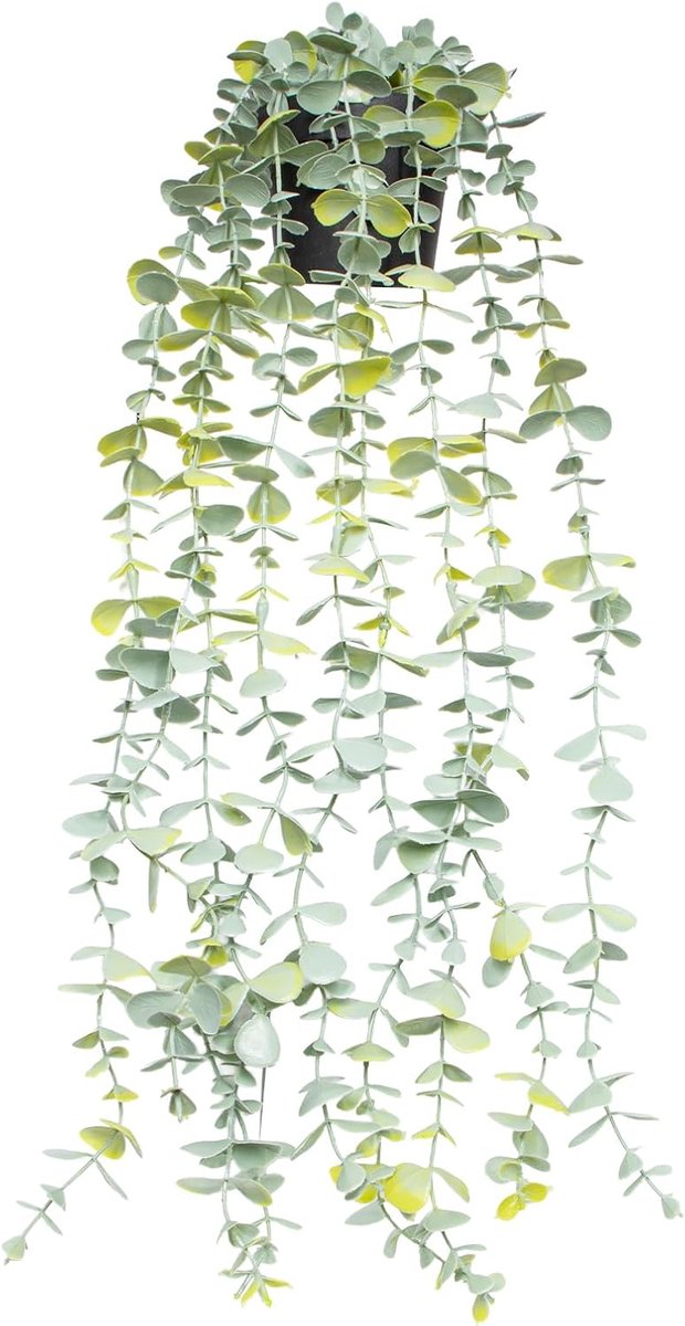 SnelShoppen - Kunstplant Hangende Eucalyptus 56 cm - Plastic Hangplant met Pot - Natuurlijke Eucalyptus Decoratie voor Thuis, Kantoor, Terras, Muur, B