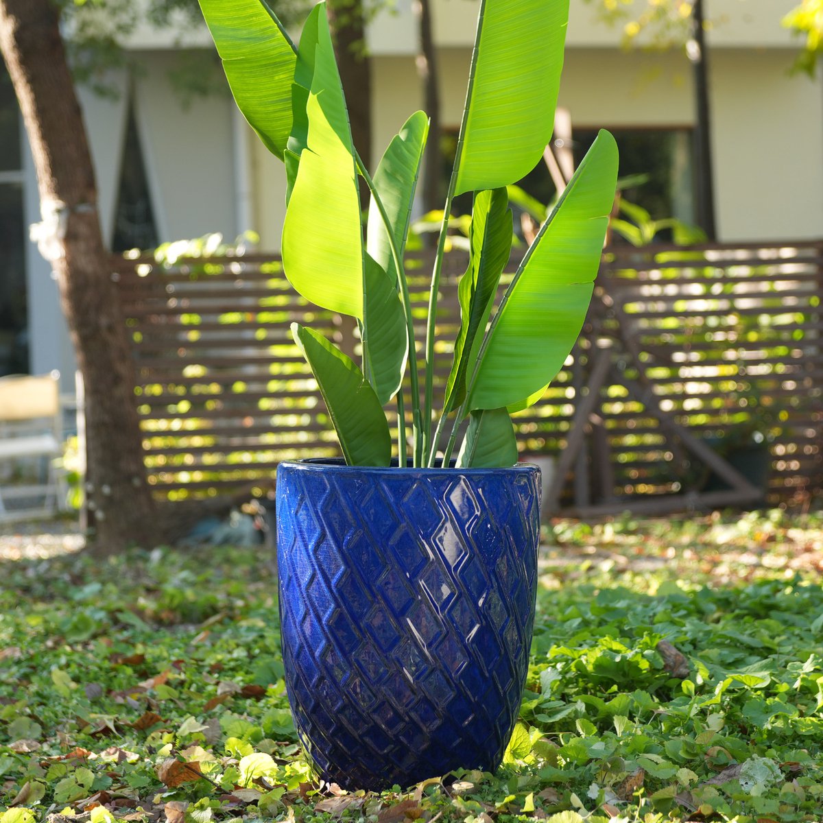 MIVRAY Bloempot – 42 x 54 cm – Handgemaakt Keramiek – Koningsblauw – Voor Binnen en Buiten – Met Ruitpatroon en Afwateringsgat