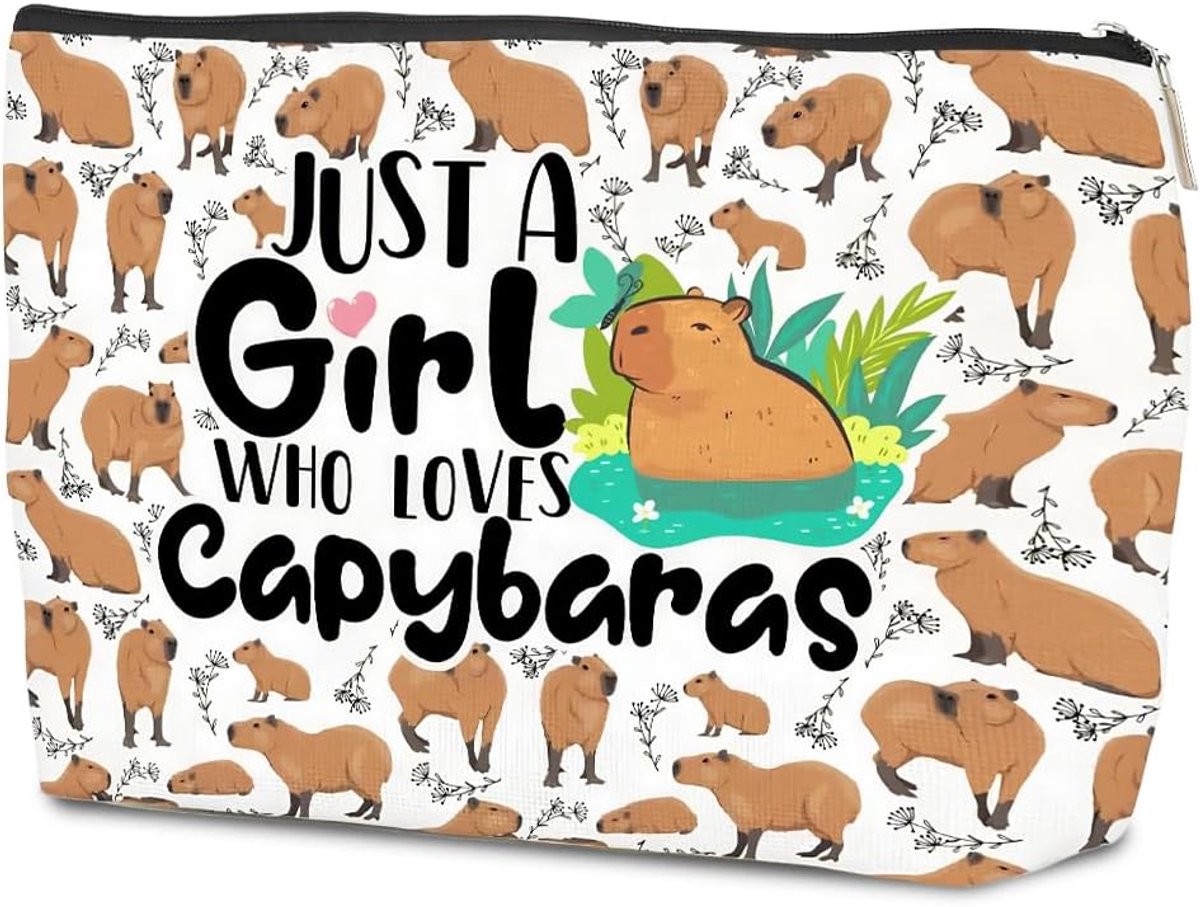 Girls Cosmetic Bag Capybara Makeup Bag with Zipper for Girlfriend Portable Toiletry Bag Women Travel Daily Cute - ShopVlot
