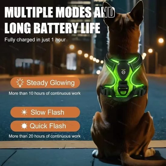 Harnais pour chien avec éclairage LED vert, différents modes lumineux : fixe, flash lent, flash rapide. 'Multiple Modes and Long Battery Life'.