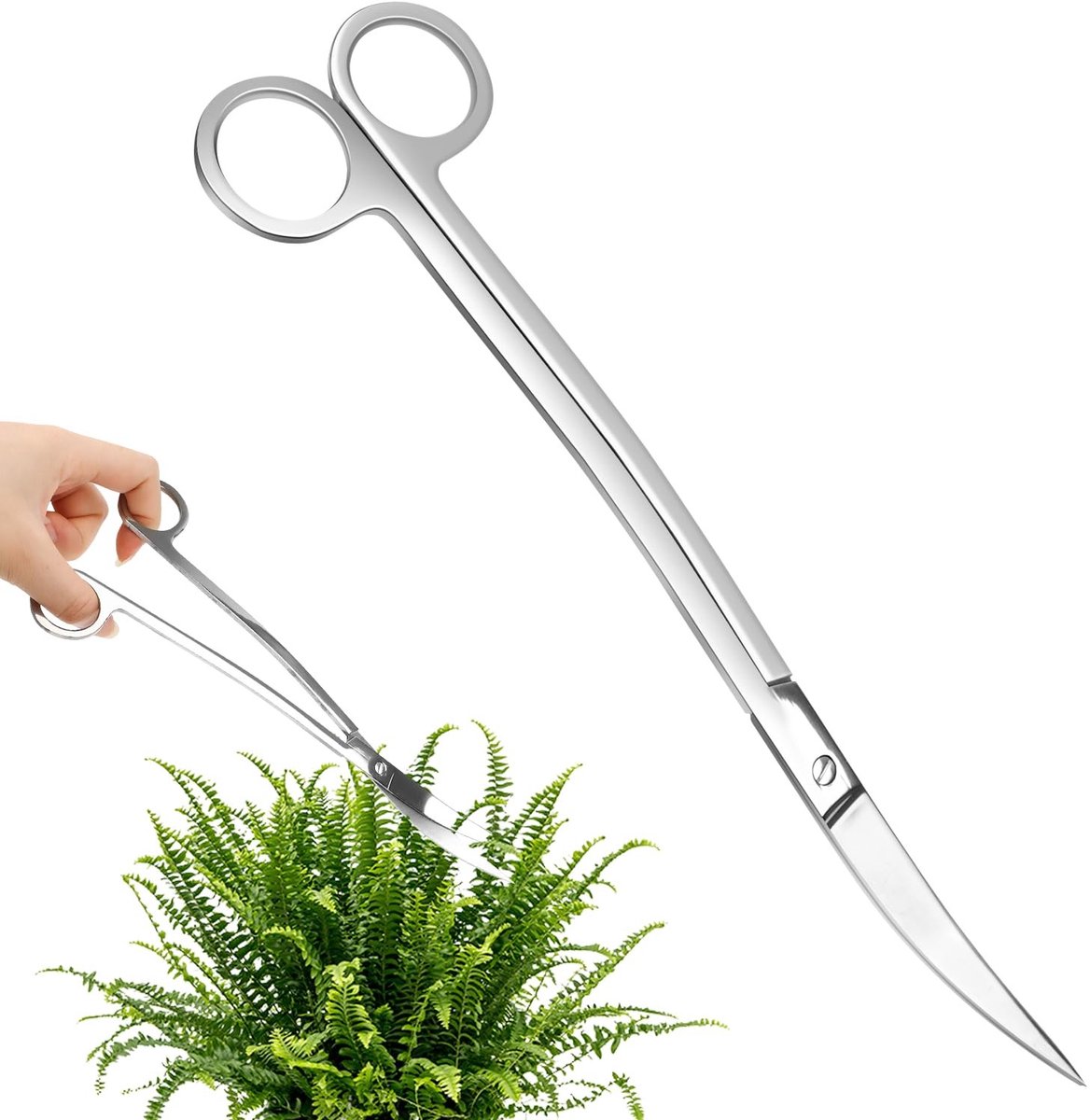 Solidchoice - 25cm RVS Curved Aquarium Schaar