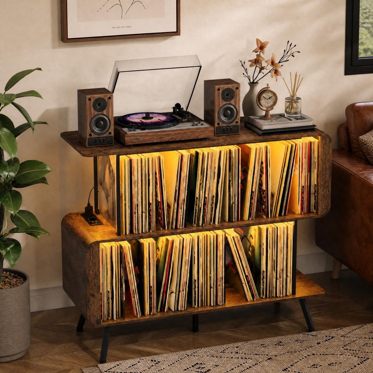 Solidchoice - Vinyl Platenstandaard met LED Strip en EU Plug voor 300 Albums