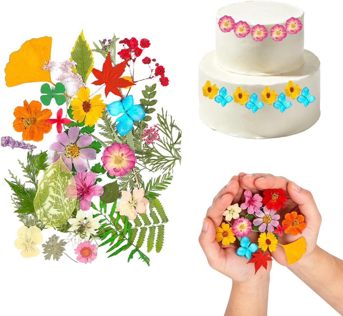 Gedroogde bloemen 35 stuks - Geperste bloemen - Natuurlijke droogbloemen - Perfect voor taartdecoratie - ShopVlot