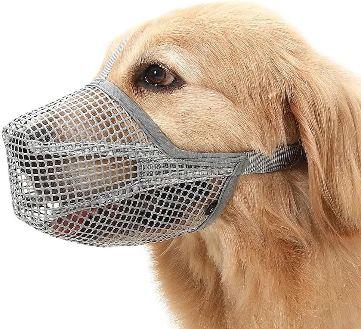 Hondentuigje verstelbaar - ademend mesh - voorkomt bijten en blaffen - voor kleine en middelgrote honden - ShopVlot