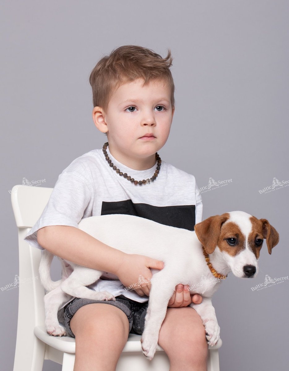 Verlenging voor barnsteenketting hond & kat, barnsteen halsband & ketting (5 cm) - ShopVlot