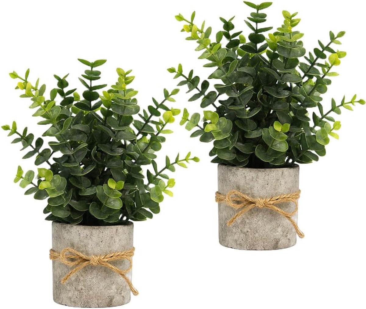 Nala Set of 2 Artificial Plants Eucalyptus Concrete Look 6 cm x 7 cm - ShopVlot