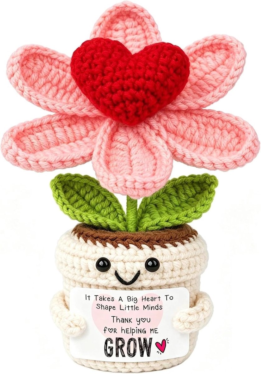 Leraar waardering geschenk gehaakte bloempot, handgemaakte gehaakte bedankgeschenken voor leraren met inspirerende - ShopVlot
