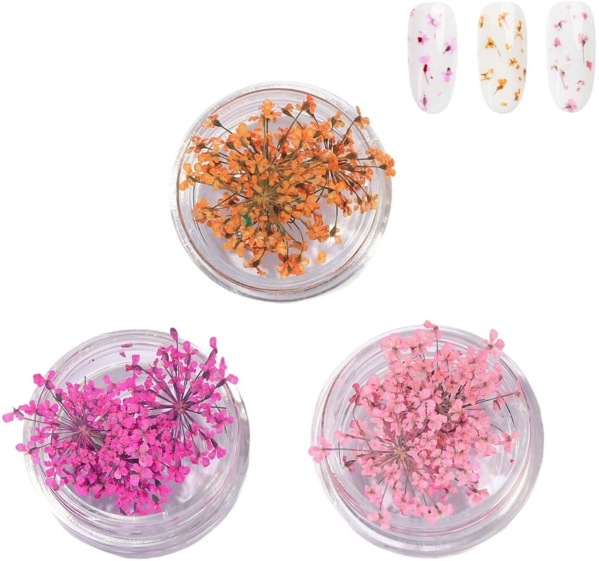 Solidchoice - Set van 3 Gedroogde Bloemen voor Nagelkunst en Decoratie