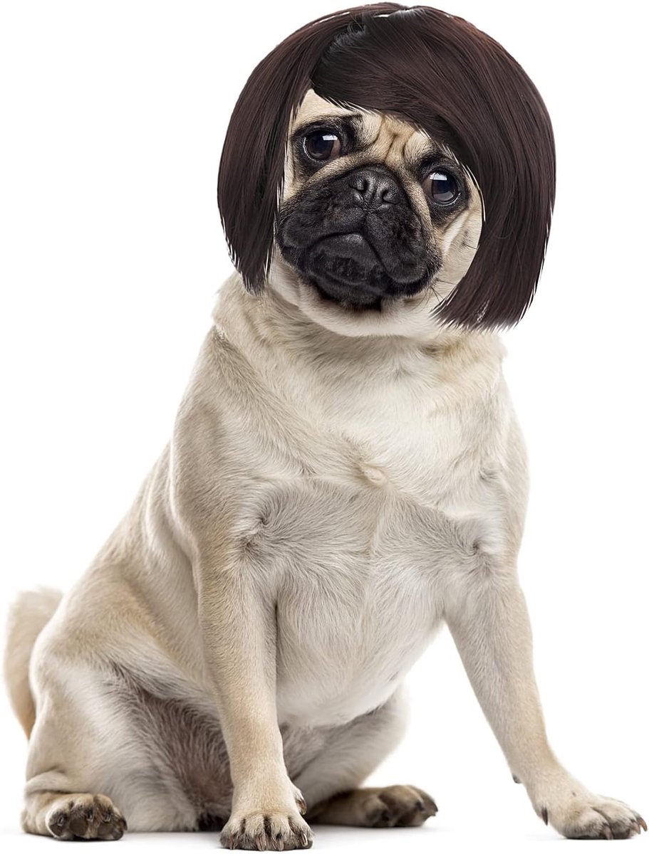 Hond en kat kostuumperucque - grappige haardos - voor kleine, middelgrote en grote huisdieren - ShopVlot