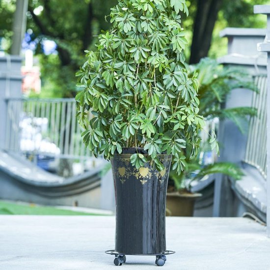 Plant Caddy, ronde ingemaakte plantenstandaard op wielen, Heavy Duty bloempot rek op rollen plantenbak trolley met universele wielen voor binnen buiten thuis tuin van Wagner. — afbeelding 2