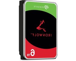 NAS Harde Schijf - Interne Schijf Opslag - Data Opslag - Geoptimaliseerd voor NAS - 6 TB - Zilver