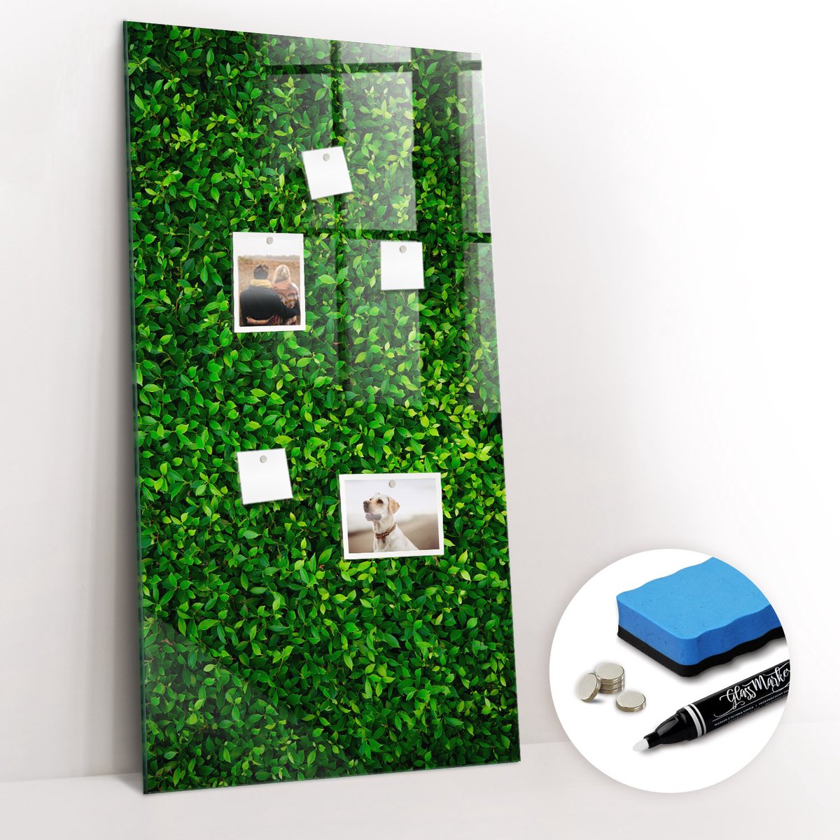Tulup Whitebord - bladeren van de schuttingplant - 60 x 120 cm - Groente Magnetisch Memobord - Gratis 5 Sterke Magneten + Whiteboard Marker & Wisser - Interieur Accessoires Kantoor - Magnetic Board - Ideeënbord Thuiswerkplek
