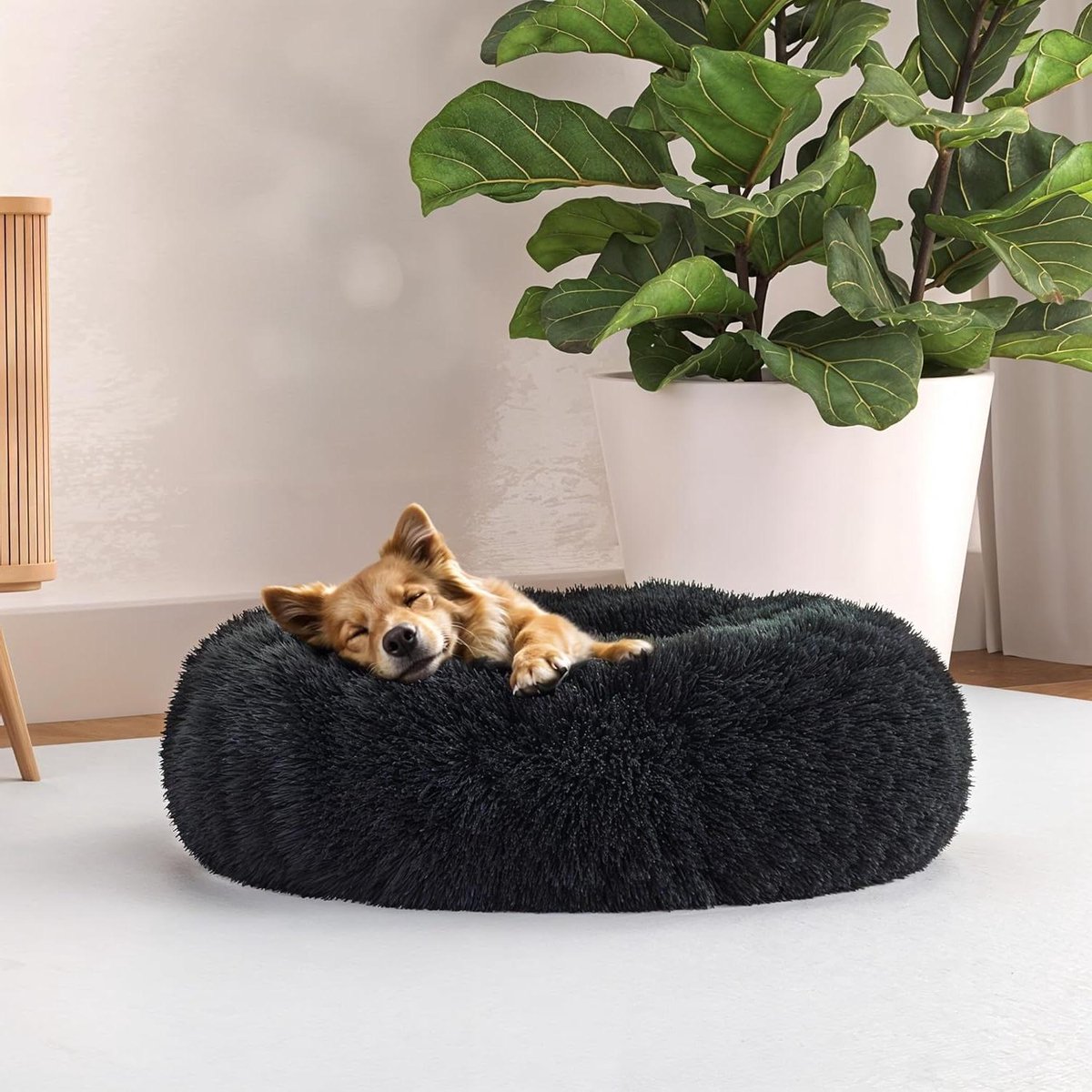 Huisdierbed - Hondenmand Kattenmand - Ontspannen Rusten - Verhoogde Veiligheidsrand - 50 x 50 cm - Petrol