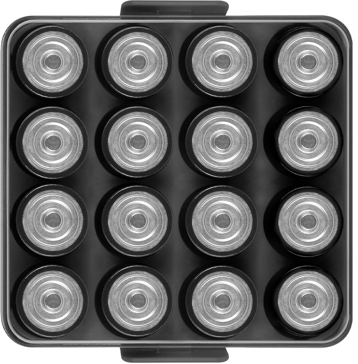 Batterij-organizer, opbergkoffer, batterijVault Box Container voor 16 stuks C-batterijen, kunststof transparante beschermende batterijhouder voor reizen/huis/kantoor (zwart, M-16 stuks C)