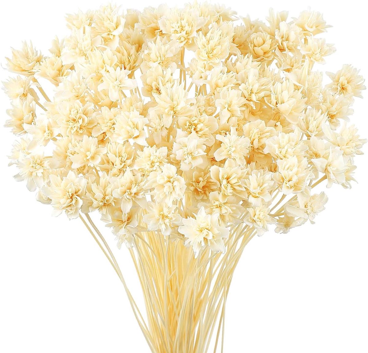 Gedroogde Bloemen - Natuurlijke Bloemen - Decoratie - Mini Sterbloemen - 100 stuks - Wit