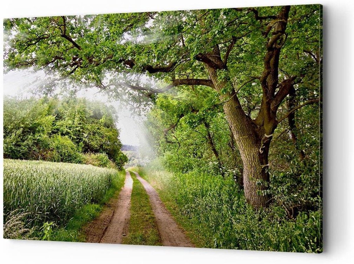 Canvas Schilderij Natuur - Wanddecoratie Bos Groen - Interieur Verfraaien - Zijkanten Bedrukt - 120x80cm - Groen