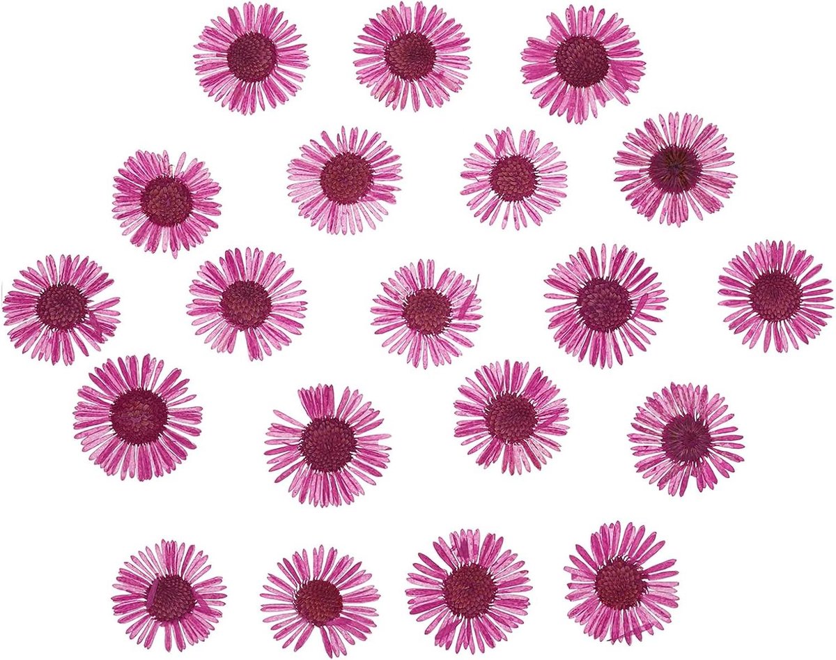 Gedroogde geperste bloemen - Natuurlijke bloemdecoratie - Creatief handwerk - Goed bewaarde kleuren - 60 stuks - Lichtrood