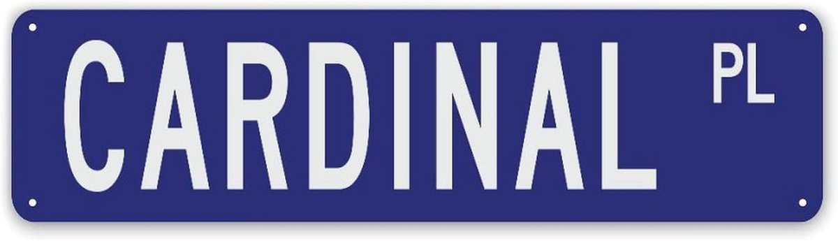 Gepersonaliseerd Bord - Naamplaat Huis - Decoratie Huis - Op Maat Gemaakt - 30 x 7.6 cm - Stijl-8