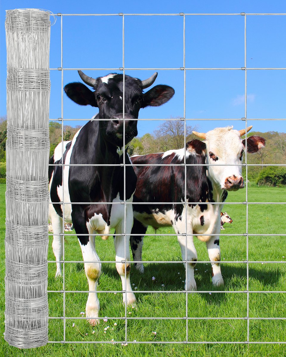 Gaashek - 1.5x100m - Verzinkt Boerenhek - Metaal Gaas - Omheining Vee En Pluimvee - Roestbestendig - Voor Geiten Schapen Tuin