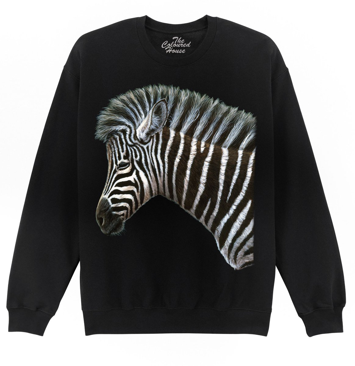 Zebra Foal The Coloured House Sweater L