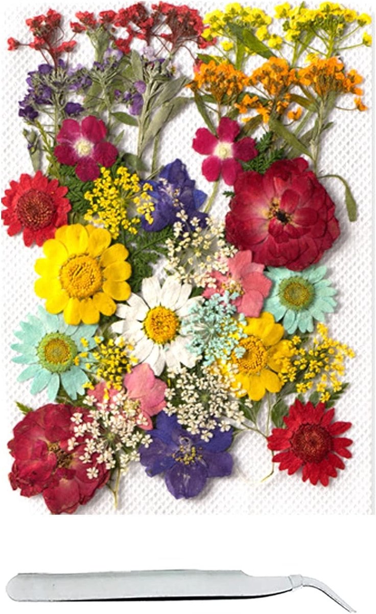 40 Stuks Echte Gedroogde Bloemen Set met Pincet voor Resin, Scrapbooking en DIY Kunstprojecten, Epoxy Sieraden en Zeep Maken