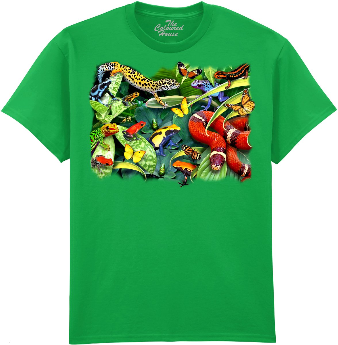 Kikkers Gecko Slang Jumpers And Crawlers The Coloured House T-shirt 4XL