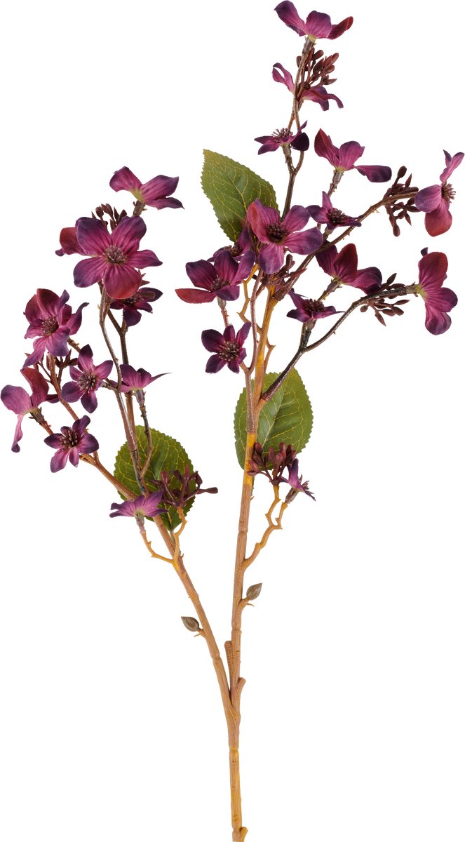 Easyplants | Kunstbloem Vernicia Fordii 63 cm bordeaux | Zijde | Nepbloemen | bordeaux | Onderhoudsvrij | Kant-en-klaar