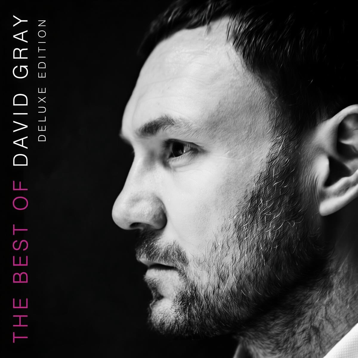 David Gray - The Best Of David Gray (2 LP) (Coloured Vinyl)