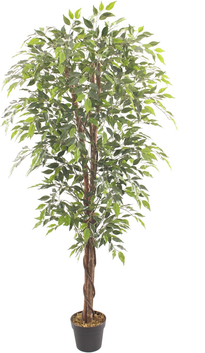Kunstboom Fica ficus 10cm