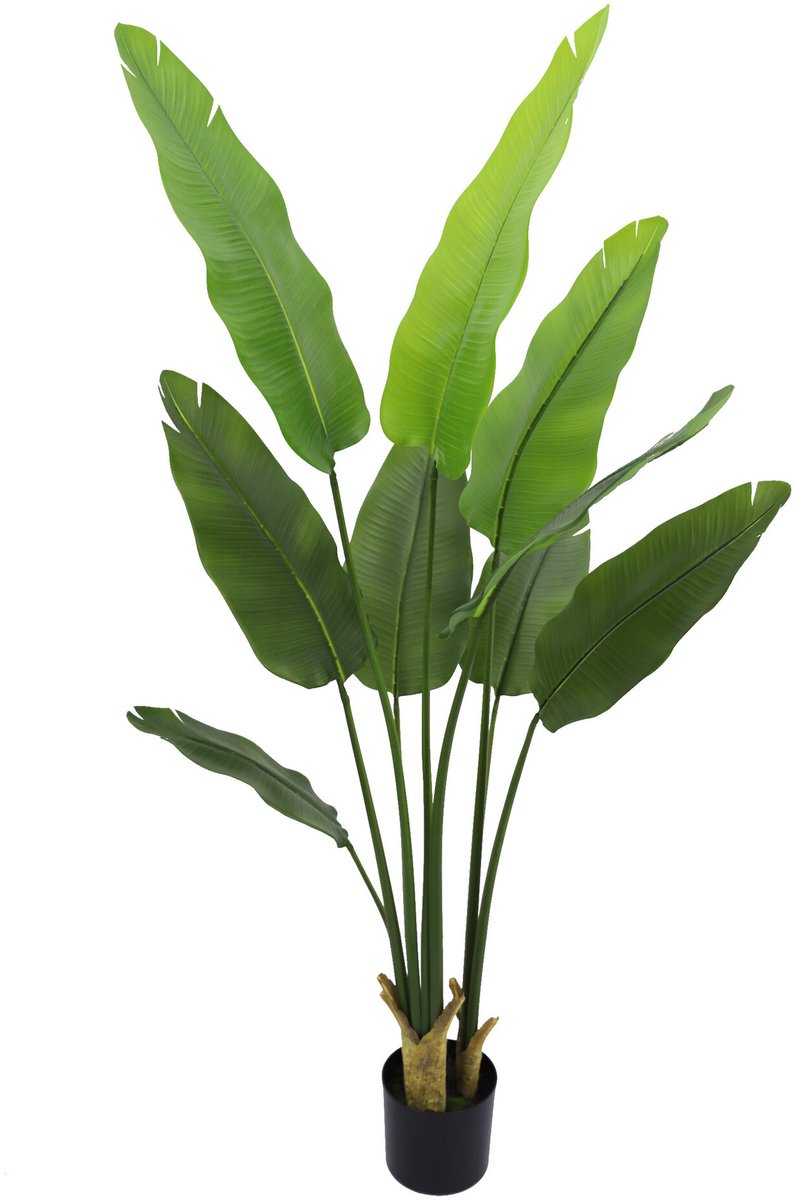 Kunstplant Strelitzia real touch 180cm