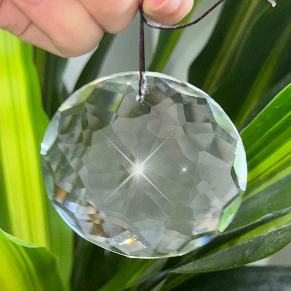 Dailygoods - Suncatcher kristallen zonnevanger, ronde prisma's, transparant, hangend, drom