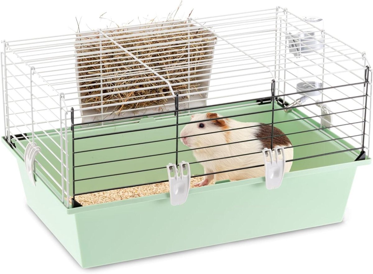 Cavia Kooi - Knaagdierverblijf - Huisdieren Houden - Uitneembare Bodem - 58 x 38 x 31.5 cm - Wit