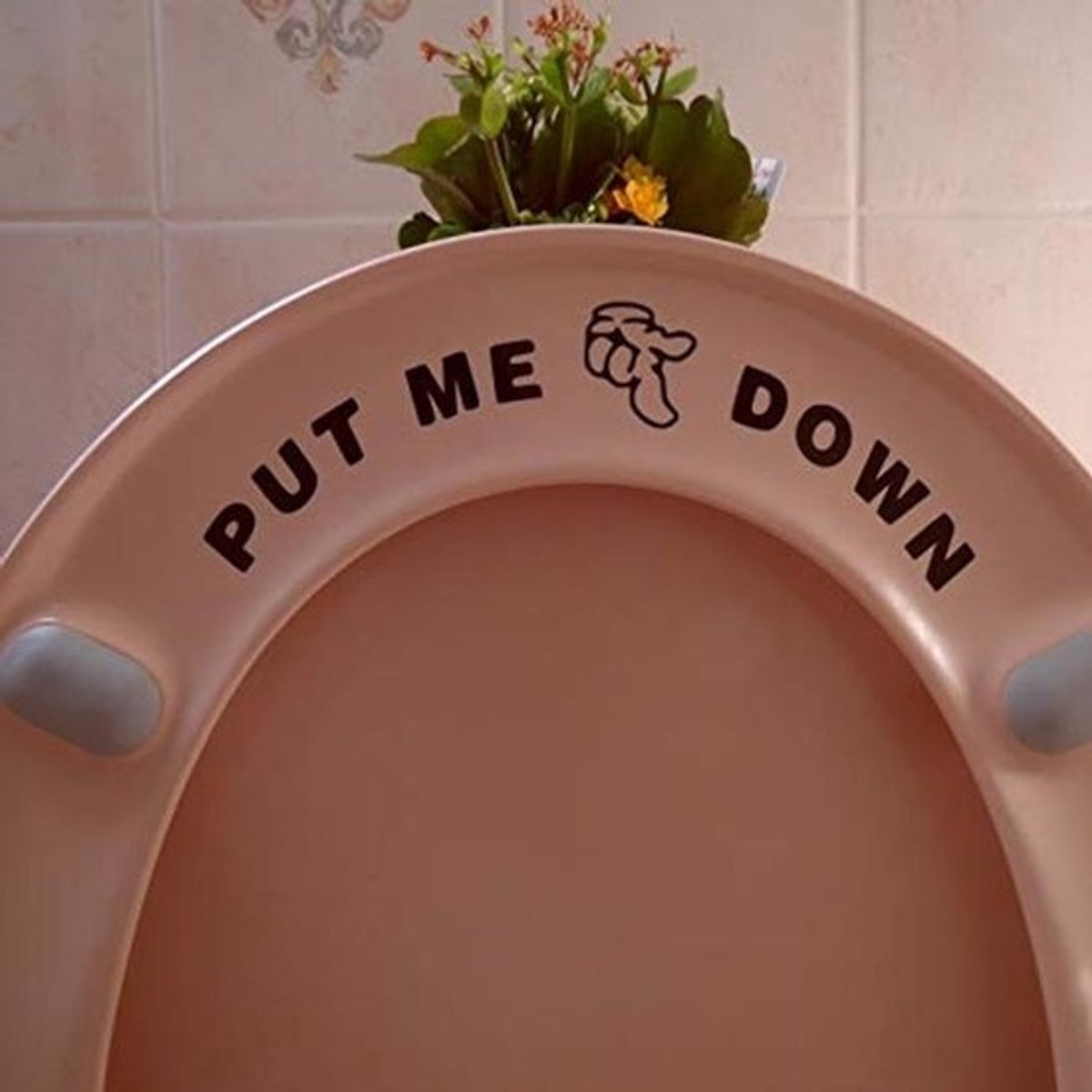 Grappige WC-sticker voor toiletbril - Zindelijkheidstraining en Badkameraccessoire