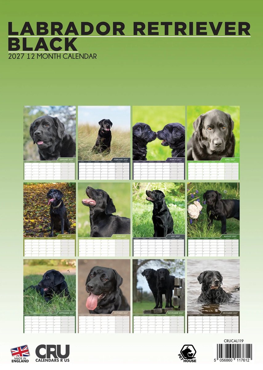 Labrador Retriever Zwart A3 Kalender 2027