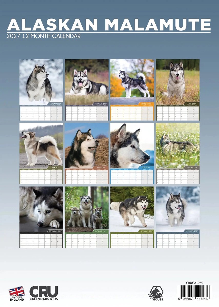 Alaskan Malamute A3 Kalender 2027