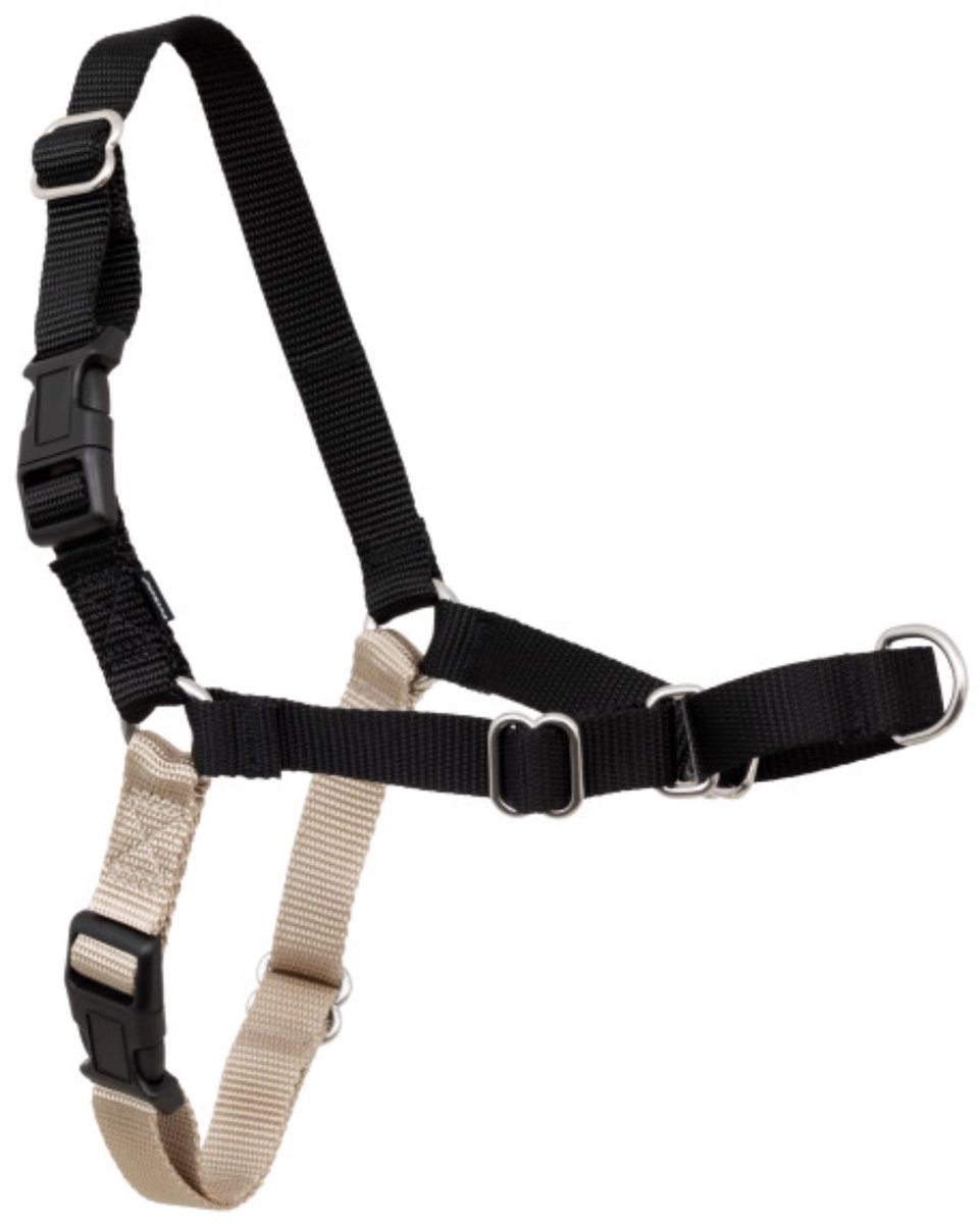 Elzusha - Anti-Pull Hondentuig - Zwart, XL met 1.8 m Leash