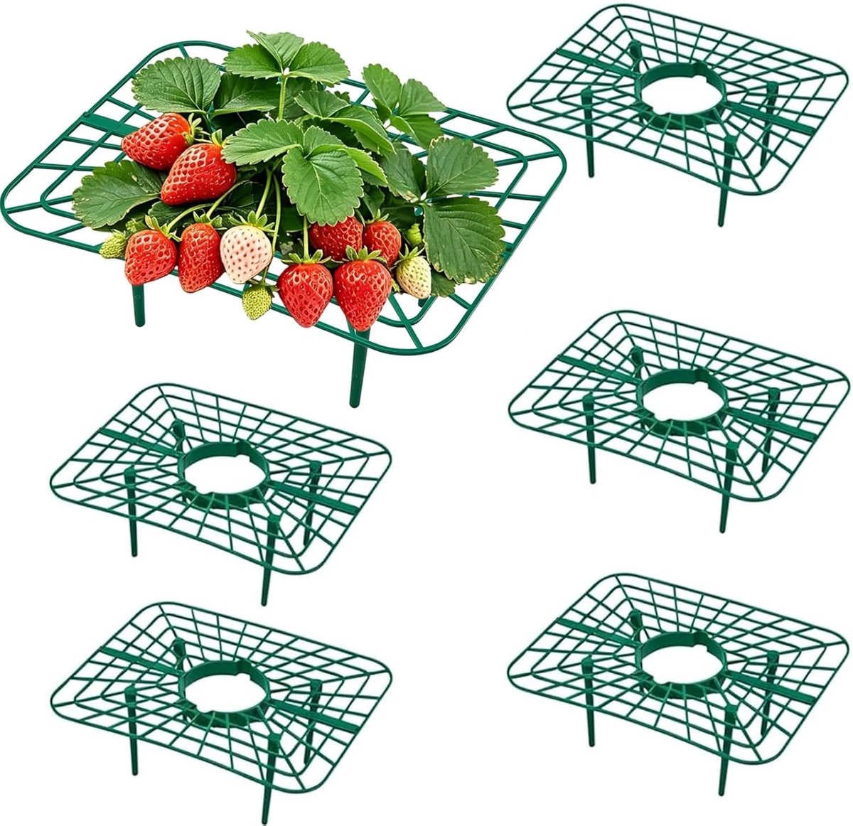 6 Stuks Aardbeienstandaards voor Bescherming en Rijping - Aardbeienrek, Weerbestendig Net voor Tuin en Kweekbedden
