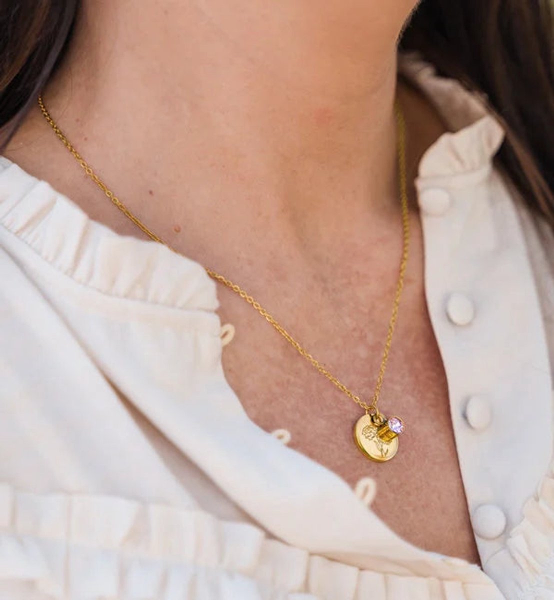 Geboortesteen Ketting met Verjaardagsbloem hanger - Januari - Anjer - Granaat - Goud