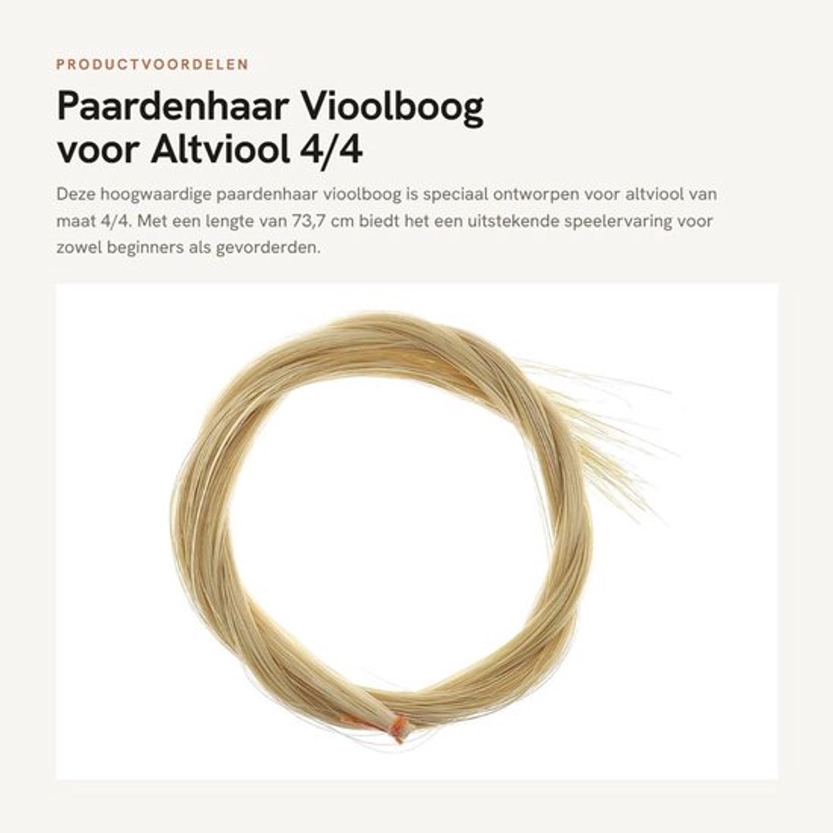 Vioolboog Hoge Kwaliteit - Paardenhaar - Natuurlijke Kleur Ecru - 4/4 Maat - Lengte 73,7 cm - Universeel Vaardigheidsniveau - Strijkstok